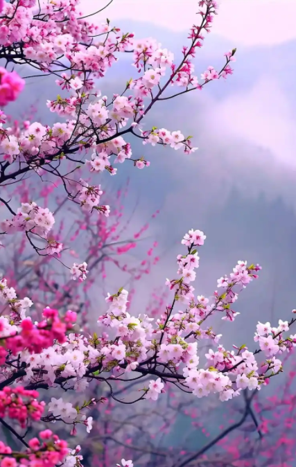 060300437.png image.png