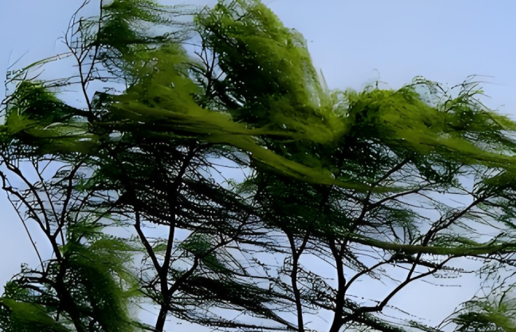 055600343.png image.png