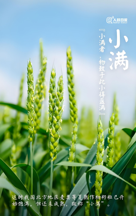 203303113.png image.png