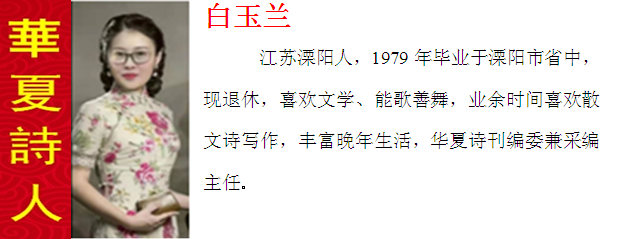 1581474221647058868.png 鐧界帀鍏?.png