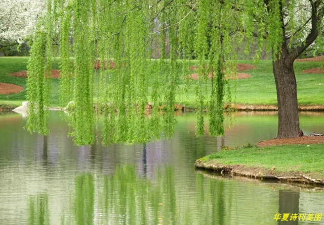 1581748242847032314.jpg RHftNJYMzaiYfiRCDMC1FZX1ktw.cnt_鐪嬪浘鐜?.jpg