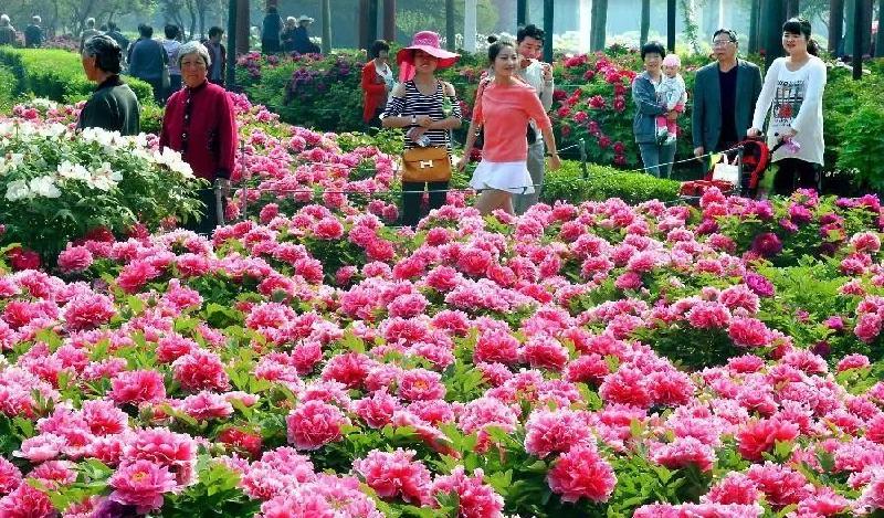 427d1fe0c3f14490b0b5c9eaa8fdf0fe.