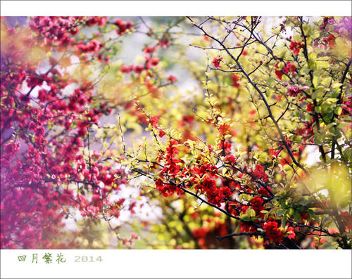 四月.jpg