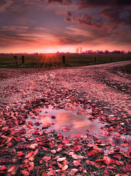 1348019624_15420500.