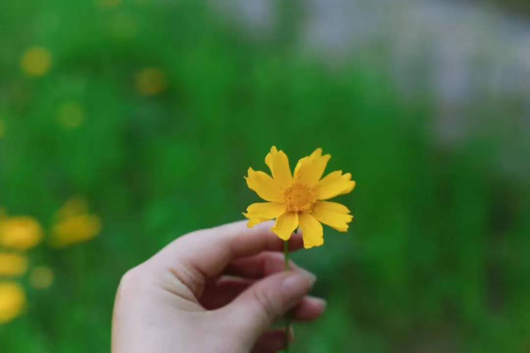 1590393727734051812.jpg 寰俊鍥剧墖_20200525154109.jpg