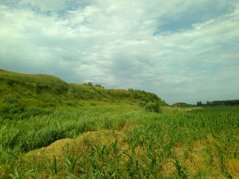 mmexport1592541012949.