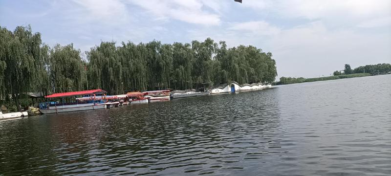 wx_camera_1598064451361.