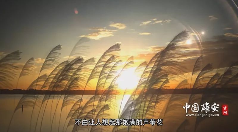 mmexport1598688680897.