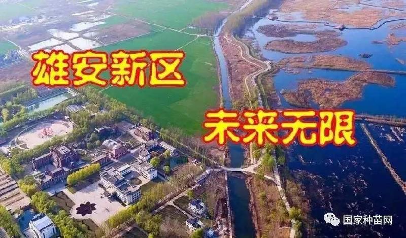 mmexport1598688673542.