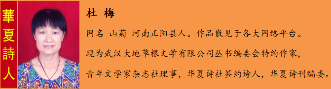 C:\Users\Administrator\Pictures\Saved Pictures\u93c9? 姊?.png