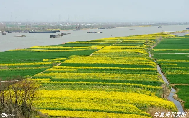 1601304326896058918.jpg 1601304326896058918.jpg