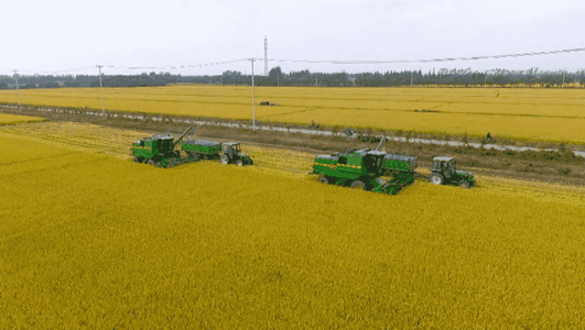 1601450458653007134.jpg u=985013460,1762143587&fm=26&gp=0.jpg