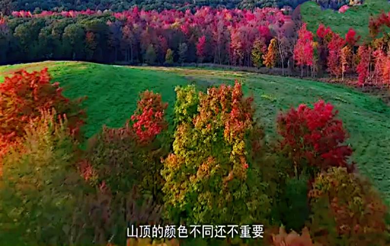 Screenshot_2020-09-29-20-32-20-66_mr1601525383287.
