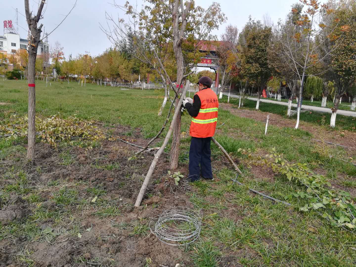 1602567492058028988.jpg 寰俊鍥剧墖_20201013132645.jpg