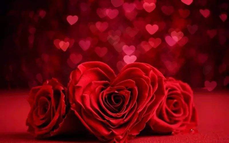 1603009040610048039.jpg timg (5).jpg