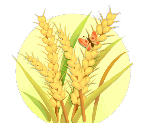 1603559350432076298.gif timg.gif