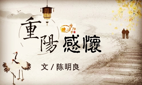 1603590553876039444.jpg 73821017a2f3237899c823b01e5a693_鍓湰.jpg