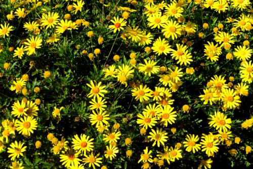 1603623474114017097.jpg u=2581281247,3601683840&fm=26&gp=0.jpg