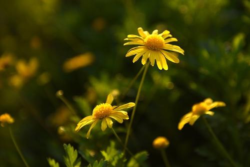 1605252019936017455.jpg u=939709369,2039096696&fm=26&gp=0.jpg