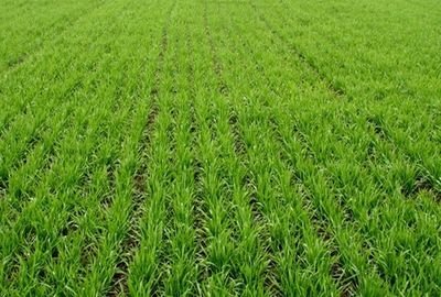 1605863440471028856.jpg t01759ad7c2732c4f25.jpg