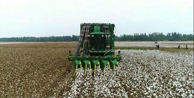 1605863845613065887.jpg 360鎴浘20201120171726443.jpg