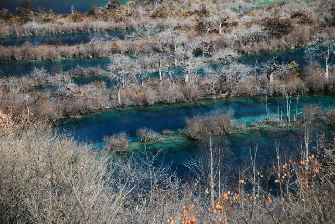 1605863409374087609.jpg 360鎴浘20201120170915822.jpg