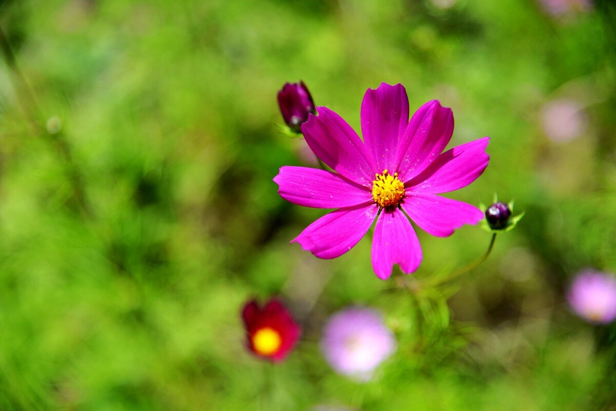 ae0a33a897ad6e8217ddd776eca5fa31_630524572.jpg