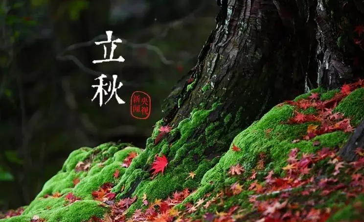045809294.png image.png