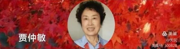 202107056.png image.png