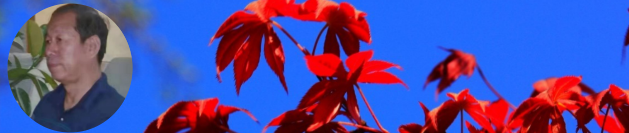 203906589.png image.png