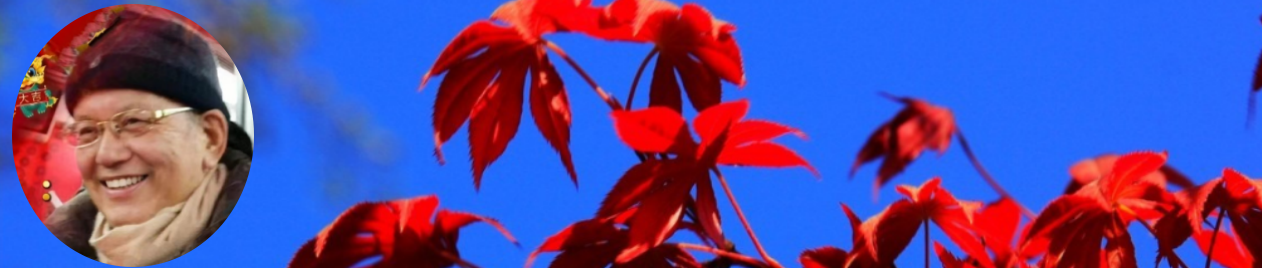 204500459.png image.png