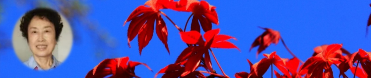 201103628.png image.png