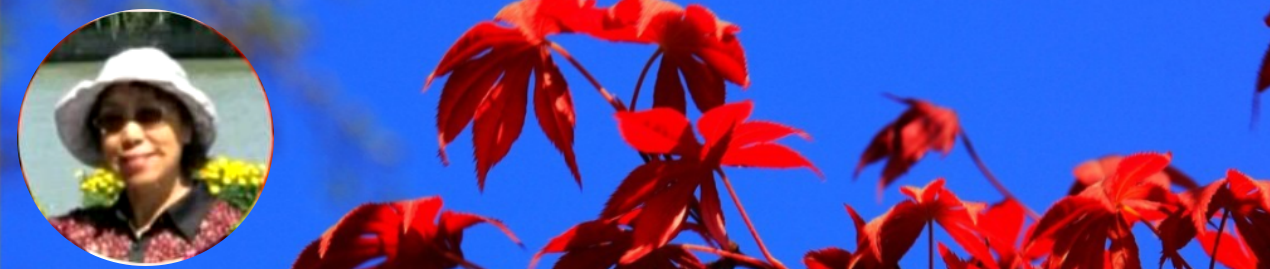 203805007.png image.png