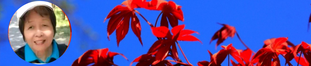 204405178.png image.png
