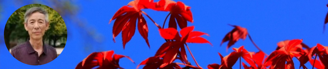 201203599.png image.png