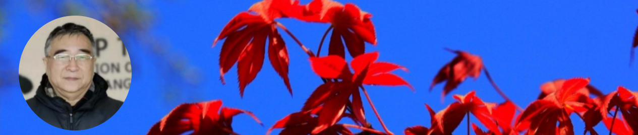 200909155.png image.png