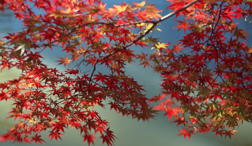 225001550.png image.png