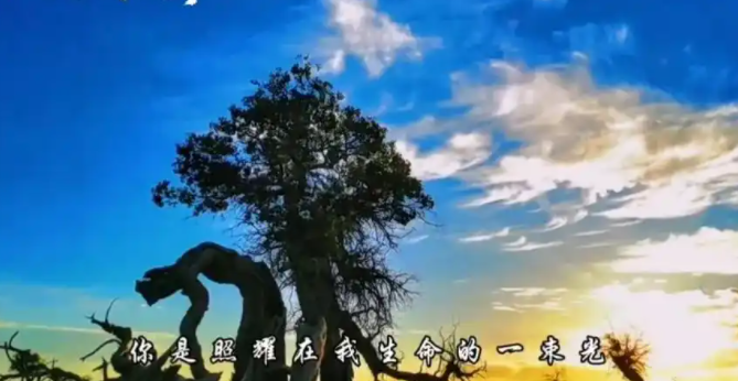 211305783.png image.png