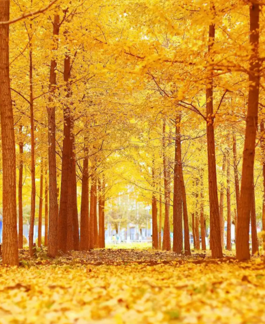 064000373.png image.png
