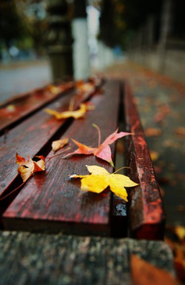 235907754.png image.png