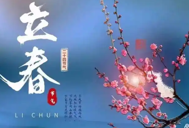 225206978.png image.png