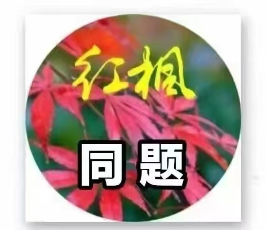 195203363.png image.png