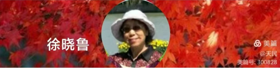 195400898.png image.png