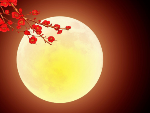 072208032.png image.png