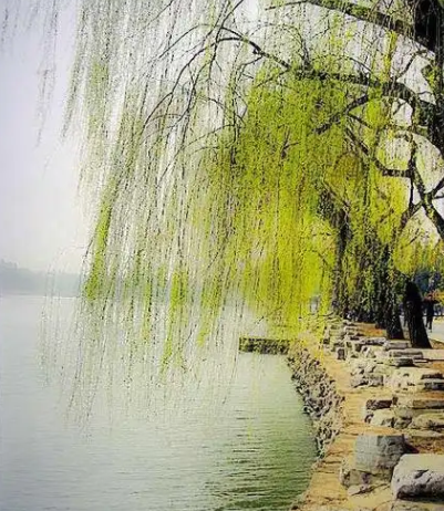 070501011.png image.png
