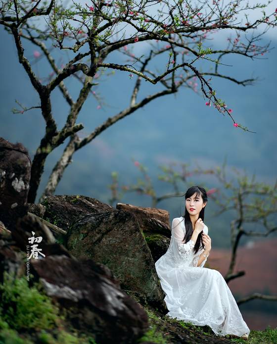 014900153.png image.png