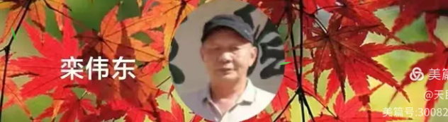 222801520.png image.png