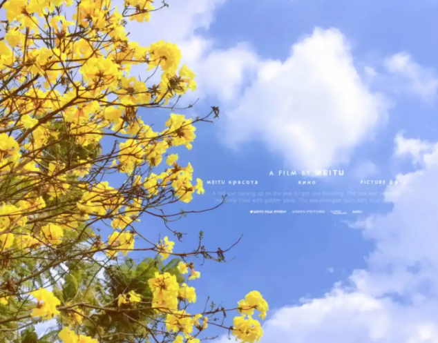 032104996.png image.png