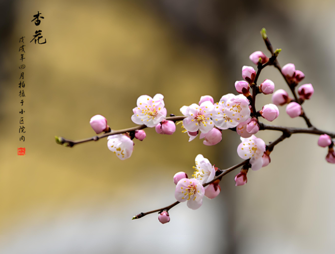 031805162.png image.png