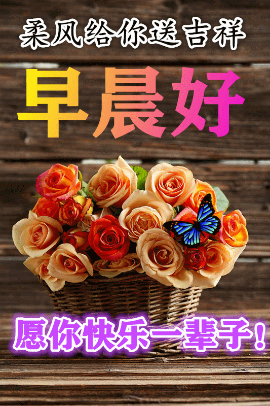 f73a13a17df7b5e843515046bb21eeb7.gif